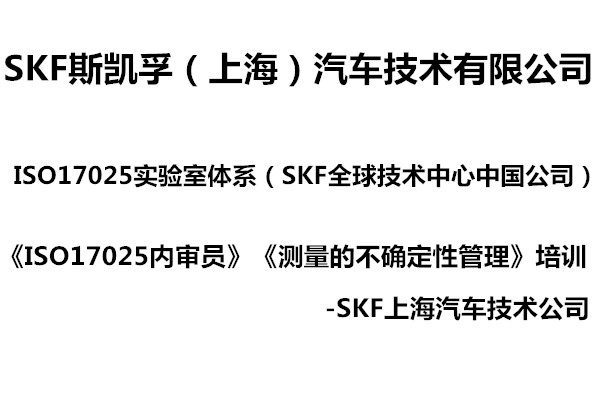 Skf描述